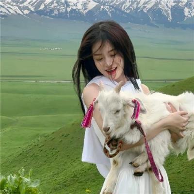小美男鱼